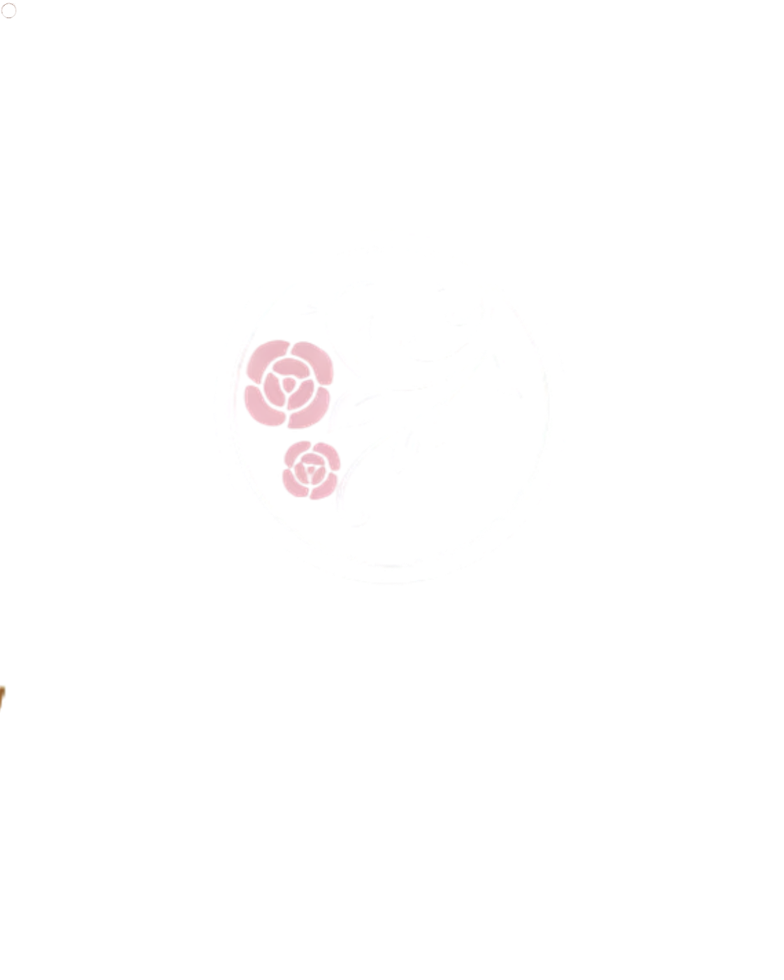 LucinA beauty produce salon